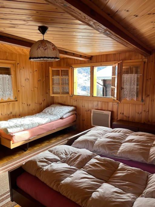 Chalet 3 Pieces De Caractere Mayoux Ngoại thất bức ảnh