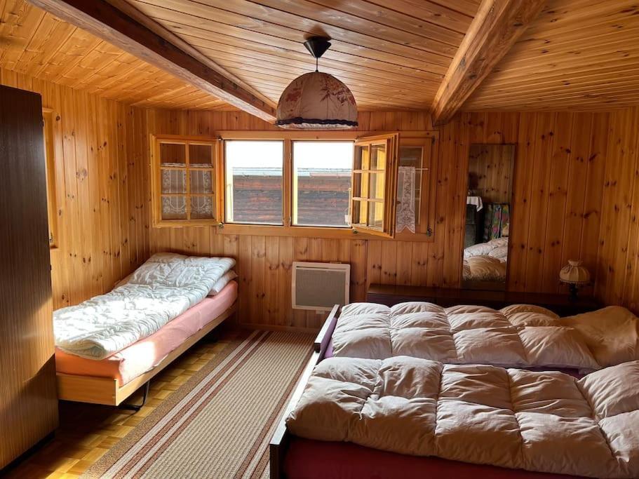Chalet 3 Pieces De Caractere Mayoux Ngoại thất bức ảnh